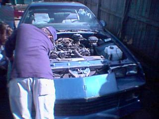 newcar1.jpg